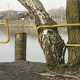 Abbildng: Platzhalter