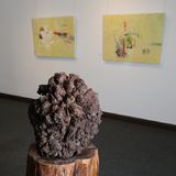 Abbildng: Platzhalter