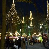 Abbildng: Platzhalter