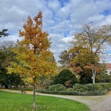 Abbildng: Platzhalter