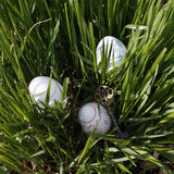 Abbildng: Platzhalter