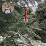 Abbildng: Platzhalter