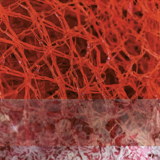 Abbildng: Platzhalter