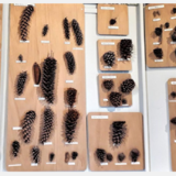 Abbildng: Platzhalter