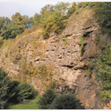 Abbildng: Platzhalter