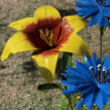 Abbildng: Platzhalter