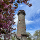 Abbildng: Platzhalter