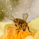 Abbildng: Platzhalter