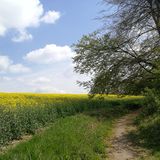 Abbildng: Platzhalter