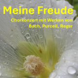 Abbildng: Platzhalter